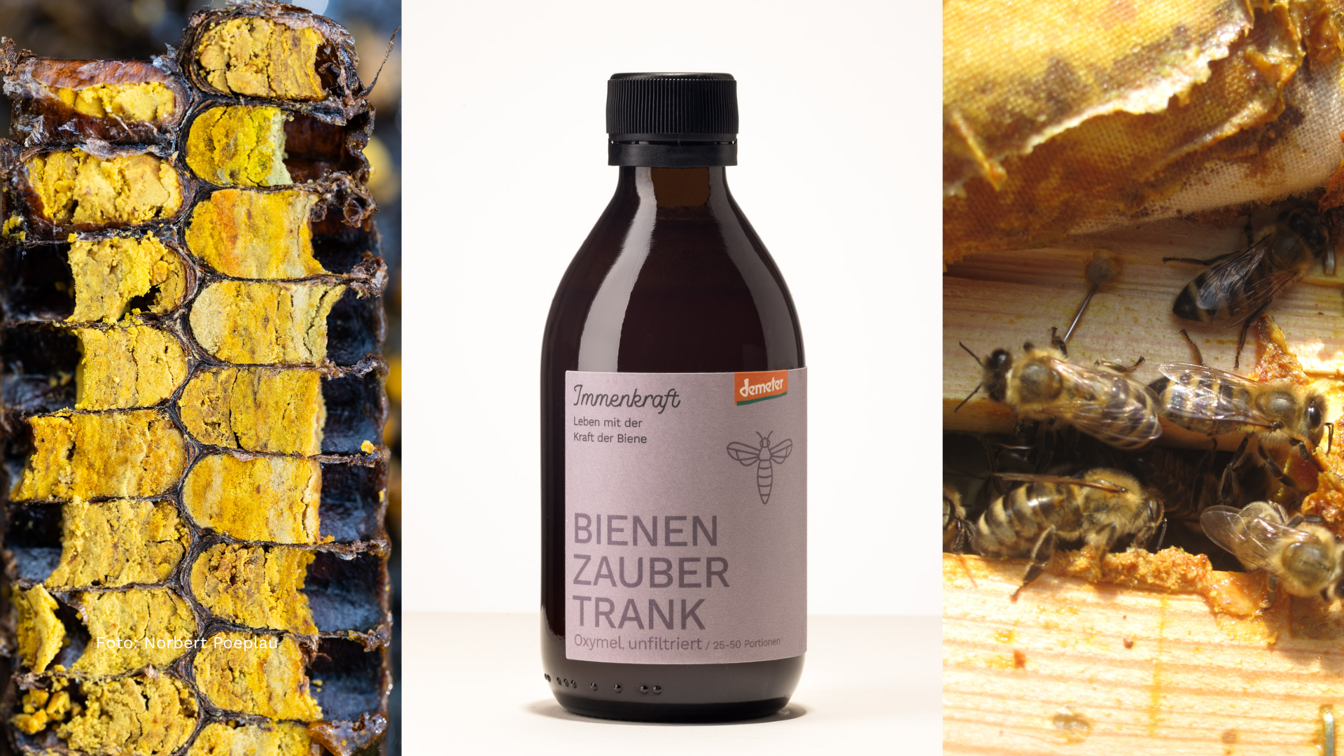 Ein dreigeteiltes Bild: links eine Bienenbrot-Wabe im Querschnitt angeschnitten, so dass man die verschiedenen Schichten sehen kann, in der Mitte eine Flasche Demeter Bienenzaubertrank-Oxymel, rechts ein Ausschnitt aus einem Bienenvolk: man sieht ein paar Bienen auf den Holzrähmchen laufen und frisch abgelagerte Propolis