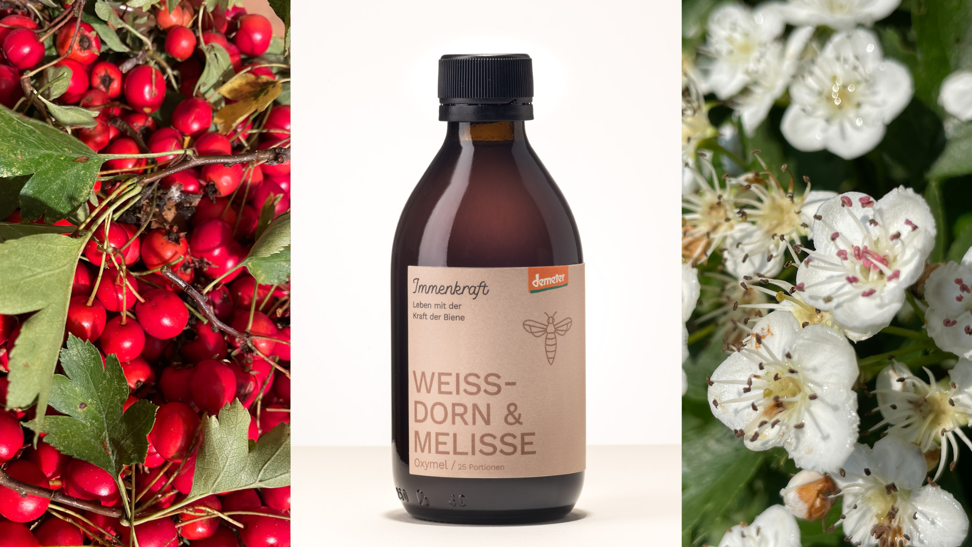 Ein dreigeteiltes Bild: links frische Weißdornfrüchte mit Blättern, in der Mitte eine Flasche Demeter Weissdorn und Melisse Oxymel, rechts blühender Weißdorn
