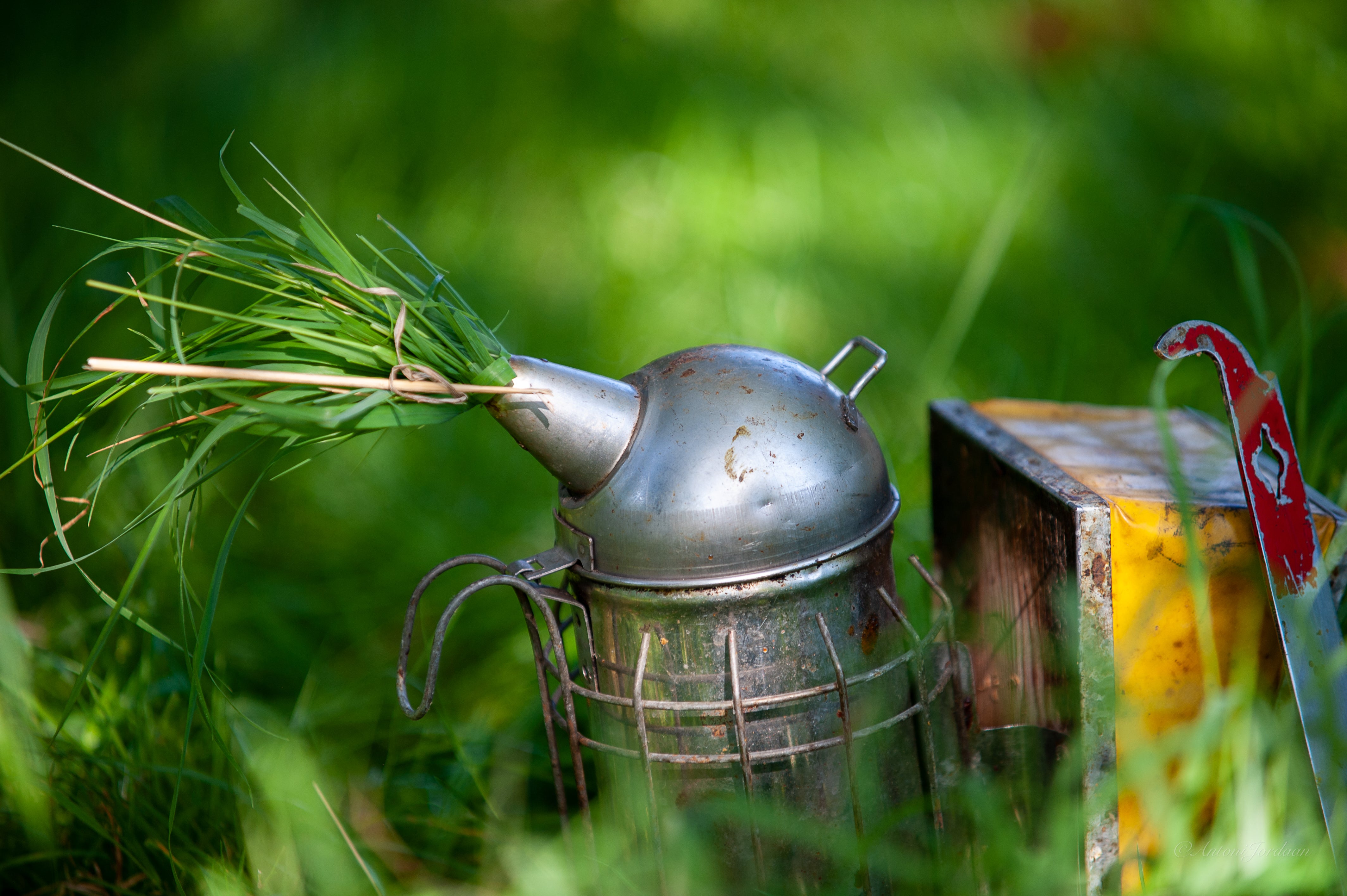 Ein Smoker der im Gras steht, Nahaufnahme. In der Öffnung steckt ein Büschel aus Gras.